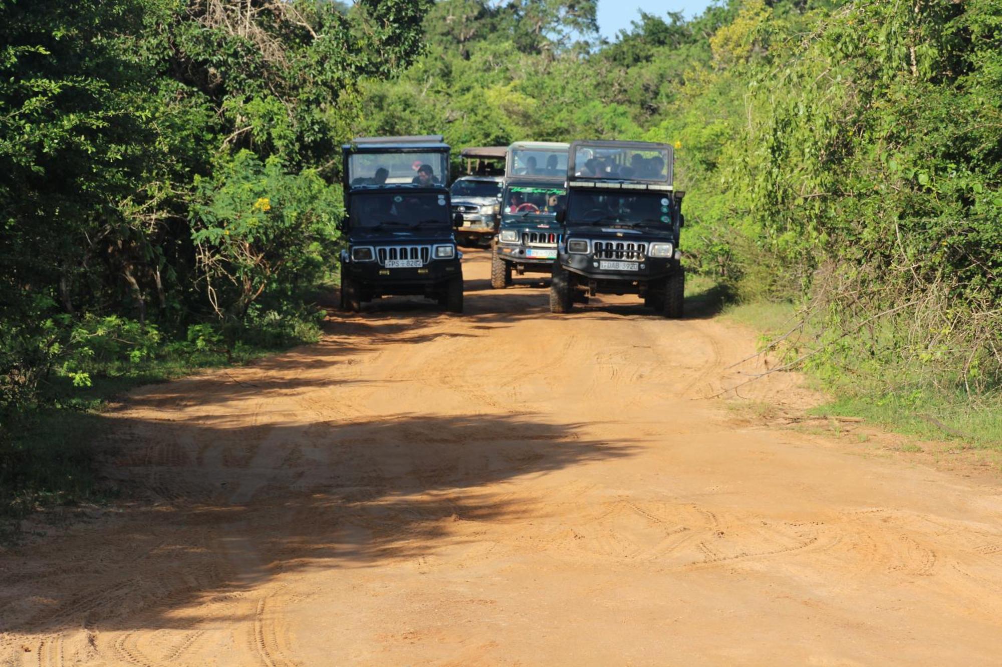 Villa Udara Guest - Yala Safari Esterno foto