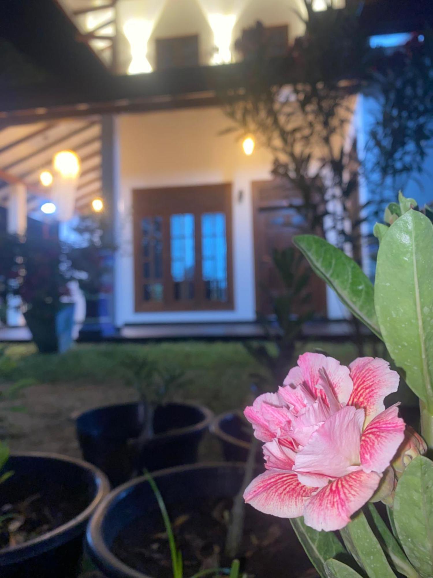 Villa Udara Guest - Yala Safari Esterno foto